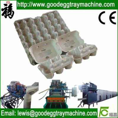 China Pulp egg tray moulding machine for sale