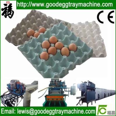 China Pulp molding(forming) machinery for sale