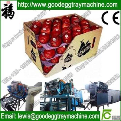 China vegetable portion tray pulp moulind machine for sale