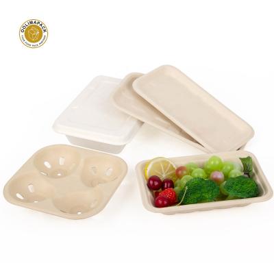 China Wholesale Disposable Biodegradable Food Tray For Meat Vegetable Fruit Paper Pulp Food Packaging Sugarcane Fiber Bagasse Pulp for sale