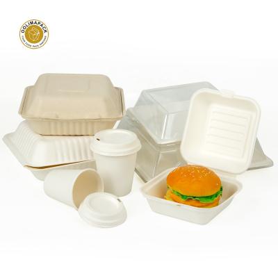 China Disposable Food Customization Sugarcane Bagasse Tray With Lid Eco Friendly Products Bagasse Lunch Box Container for sale