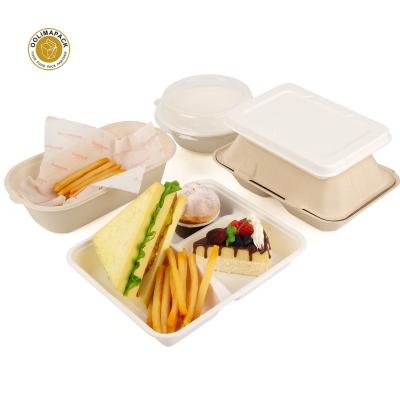 China Modern Compostable Dishes Rolls Containers Made Of Sugarcane Bagasse Tray With Lid 100% Biodegradable Food Tray for sale