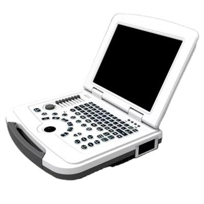 China EURPET Portable Laptop Machine Digital Ultrasound Scanner Price To Cow Clinic Pregnancy Bovine Veterinary Equipment for sale