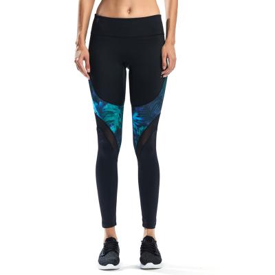 China Breathable Factory Ready To Ship High-waist Elastic Selva Vapor Legging Active Wear Gym Wear for sale