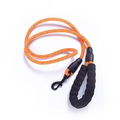 China USA Market Reflective Rope Leash Dog Leash With Water Bottle From Factory Dlirecly for sale