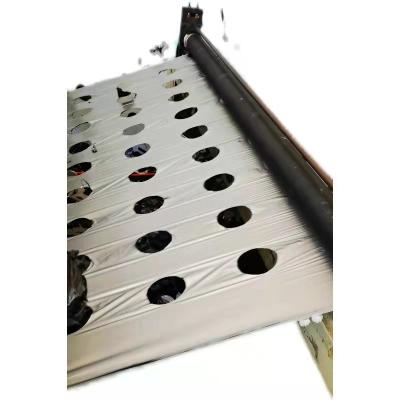 China Other Pe Perforated Plastic Mulch Film Planting Mulch Film Agricultural Agriculture for sale