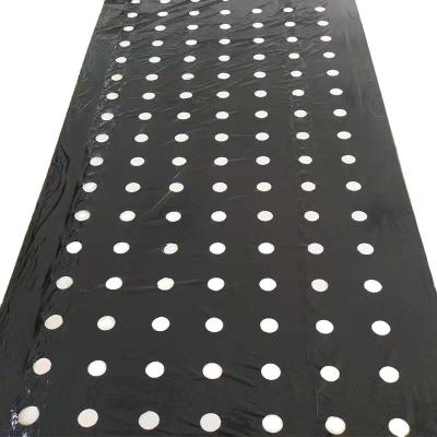 China Other Agriculture Black Plastic Film Mulch Perforated Plastic Mulch Film for sale