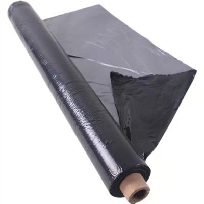 China Other Hot Selling Biodegradable Reflective Black And Silver Ground Cover Mulch Film for sale