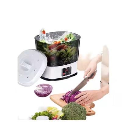 China Hot Selling Car Ozone Home Vegetable and Fruit Sanitizer Cleaner Washing Machine for Food for sale