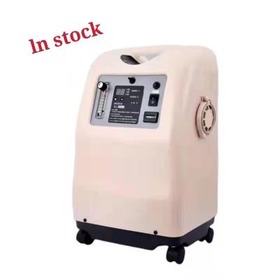 China Factory Price Home Use 96% Purity Oxygen Portable 5L Generator for sale