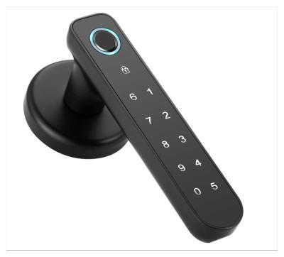 China Smart Fingerprint Lock Sell Well New Type Outdoor Hotel Home Universal Deadbolt Smart Door Lock for sale