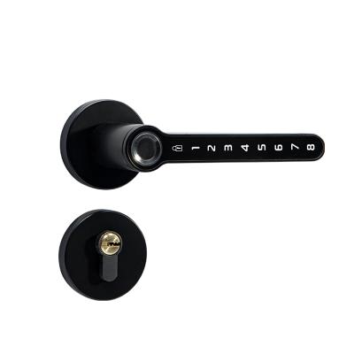 China Hotel Apartments Home Office Professional Manufacture Cheap Black Door Home Smart Locks With Fingerprint for sale