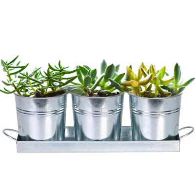 China Druable Galvanized 3 Pack Farmhouse Metal Bucket Vases Planter For Flowers for sale