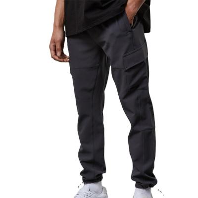 China wholesale Anti-wrinkle edge panel logo custom technical jogger pants wholesale bungee cargo sweatpants for sale