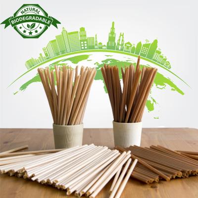 China 100% Biodegradable Beverage Coffee Bio Degradable Juice Drink Milk Tea Plant Fiber Compostable Straws for sale