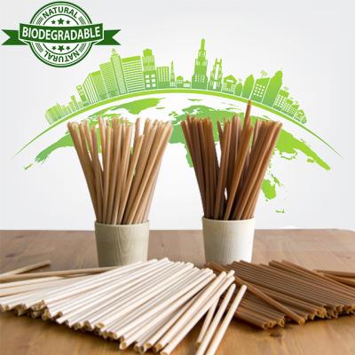 China 100% PFP Eco Biodegradable Sugar Cane Juice Drinking Straw Non-Toxic Material Cutlery for sale