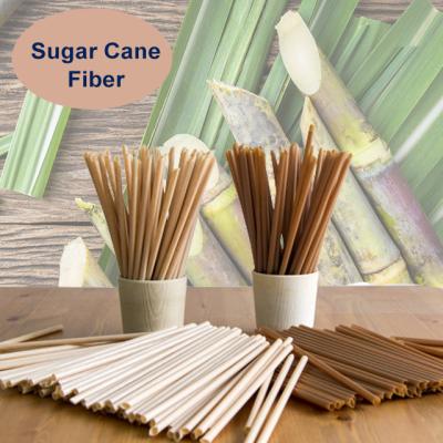 China 100% Biodegradable Natural Food Grade Drinking Straw Sugarcane Biodegradable Straws for sale