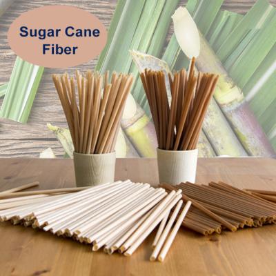 China 100% Sugar Cane Fiber Big Drinking Straws Biodegradable Eco Friendly Biodegradable for sale