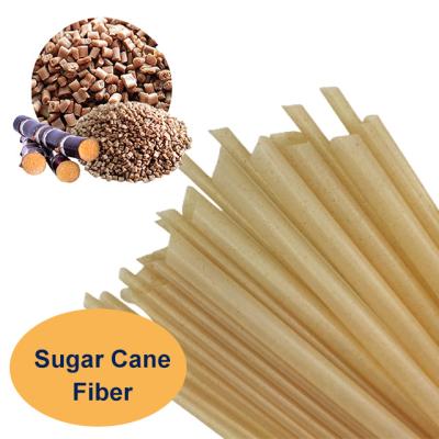 China 100% Straw Sugarcane Biodegradable Eco-Friendly Natural Drinking Material for sale