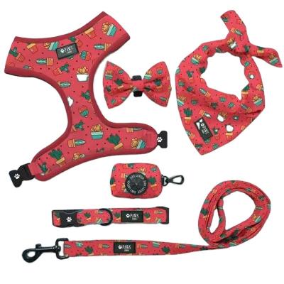 China Wholesale Dogs Fashion Customized Logo Adjustable Vest Type Breathable 1.5m Harness Set For Dog And Cat for sale