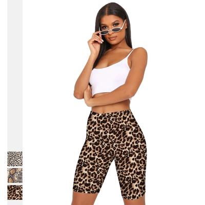 China 2020 Women's High Waist Gym Breathable Leopard Print Yoga Shorts Bike Shorts Fitness Sports Gaiters for sale