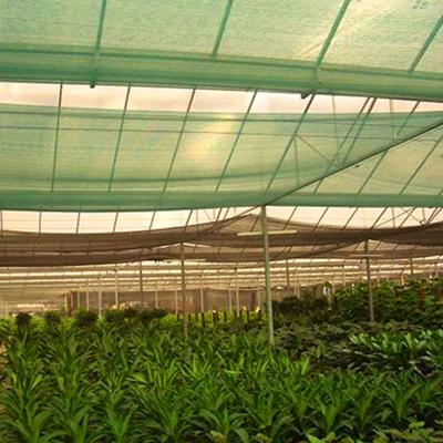 China Agriculture factory direct sale high quality garden shade net crop protection insect repellent net for sale