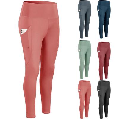 China Other Wholesale Multicolor Plus Size High Waisted Yoga Pants Woman Sports Spandex Gaiters With Pocket for sale