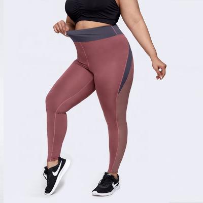 China Y-0044 New Breathable Mesh Quilting Hip Lifting Plus Size Yoga Pants Women Sweat Absorbing Sports Fitness Pants Yoga Quick Dry Clothes for sale