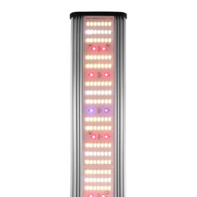 China Seed Starting Shenzhen Factory Wholesale 5x5 High Efficiency 6 LED Bar Grow Light Bar UV IR Full Spectrum for sale