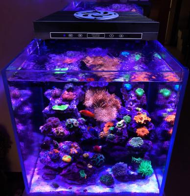 China Multi Fish Aquarium Coral Reef Coral Lamp Control System Led Programmable Reef Aquarium Lights for sale