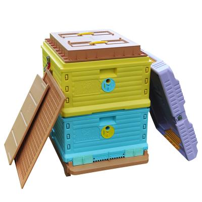 China Cultivate bee hive box plastic beehive factory directly bee hive plastic base for sale