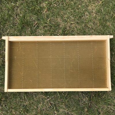 China High Quality Farms Japan Korean Style Bee Hive Frame With Base for sale