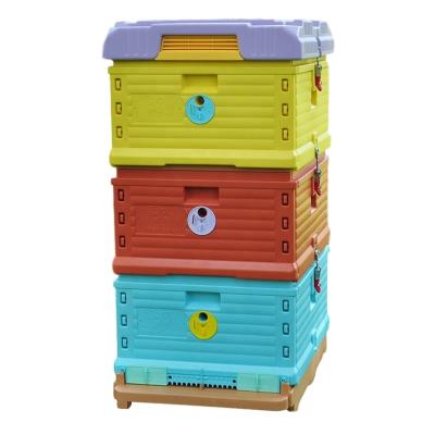 China Novel Farms Molding 3 Layers Beekeeping Plastic Beehive Frame Removable Plastic Hive for sale