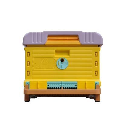 China 1 Layer Plastic Insulated Beehive Langstroth Bee National Plastic Hive Farms For Beekeepings for sale