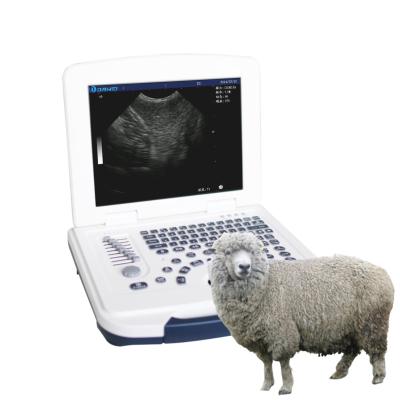 China Sonoscape Veterinary Ultrasound Machine For Vet Animal Portable Color Doppler Ultrasound Machine 470*220*400mm for sale