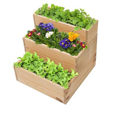 China Eco - Friendly Wooden Garden Bed Planting Box Pine Wood Garden Plant Container for sale