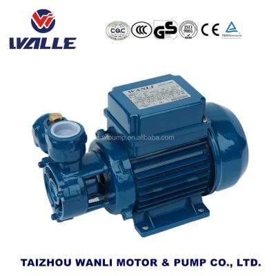 China Peripheral water pump 1 inch 220v Italy kf series cryogenic electric vortex for sale