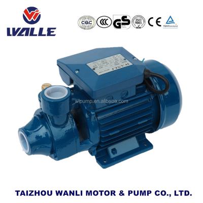 China Best Price Domestic Water Mini AC 220v Booster Water Pump Strategist 60 for sale