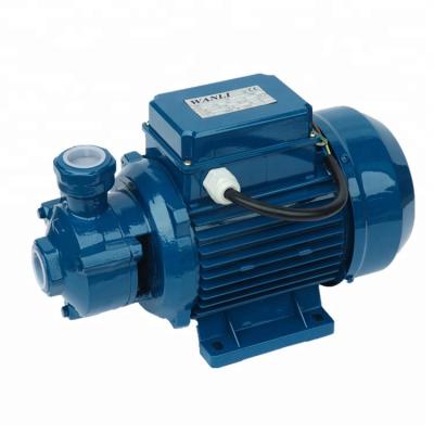 China High Efficiency 0.75HP 50HZ Garden Strategist Small Peripheral Vortex Water Pump for sale