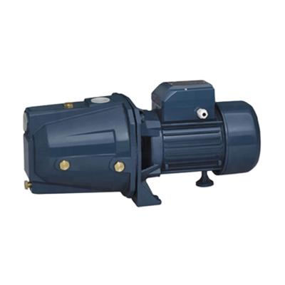 China Other KINGNEW JET-80L Pump Jet Water Pump 0.8Hp Automatic Combo Self Priming Sand Filter Water Pump For Sale for sale