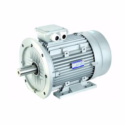 China MS631-2 0.18kw Speed3000r/min 0.25hp Three Phase Squirrel-cage AC Induction Motor For Sale for sale