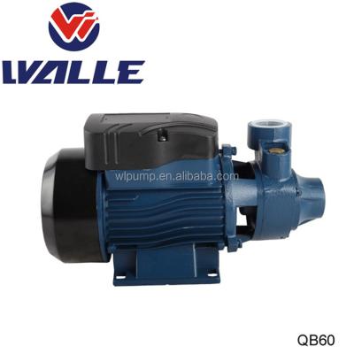 China Compact size garden use factory price horsepower electric water pumps small 0.5 qb60 (high quality) for sale