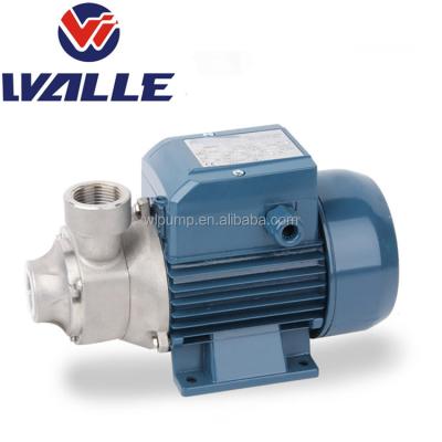 China Compact Size Stainless Steel QUARTER Electric Pump 0.5 Hp Water Pumps Good Quality for sale