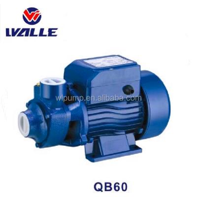 China Cryogenic Easy Use QB70 80 STRATEGUS Micro Irrigation Water Pump Micro Vortex Clean Water Pump For Sale for sale