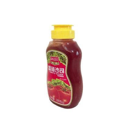 China 300g Squeeze Bottle Factory Wholesale Brand Used Natural Tomato Ketchup for sale