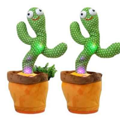 China Sing the colorful colorful dancers dancing cacti strictly come to dance for sale