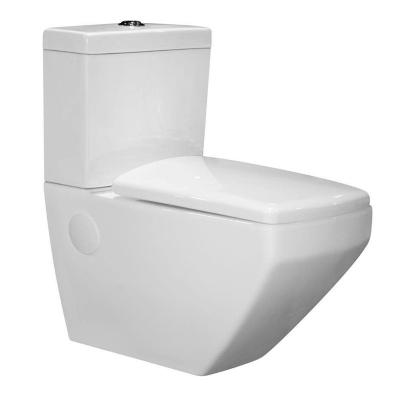 China Luxury Bathroom Toilet Hung Ceramic Chinese Wall Mounted Double-Flow Two Pieces for sale