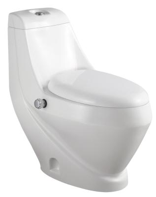 China Hot Selling Color Bathroom Double-flush Chinese White Modern Ceramic One Piece Toilet Down With Bidet for sale