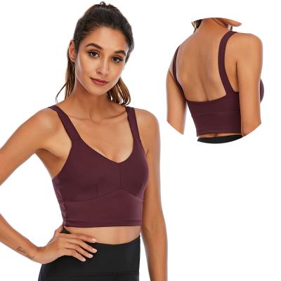 China Breathable High Quality Support Push Up Sports Bra Women Fitness Gym Soft Full Support Sport Tops Bra Custom Logo for sale