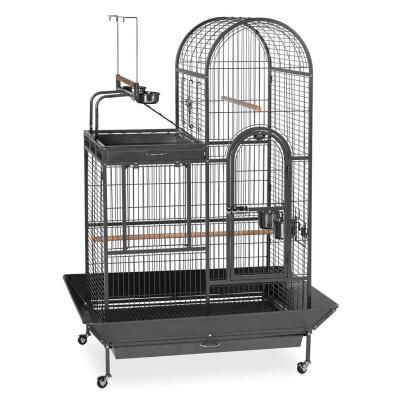 China Sustainable Cheap House Designs Metal Iron Stainless Steel Chinese Bird Cage Parrot With Playtop for sale